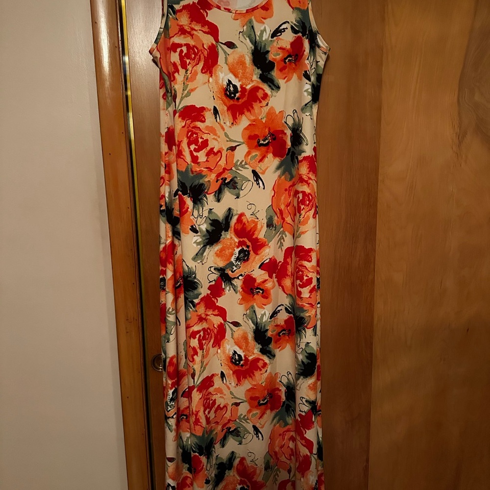 Lularoe Dani dress flowers XL